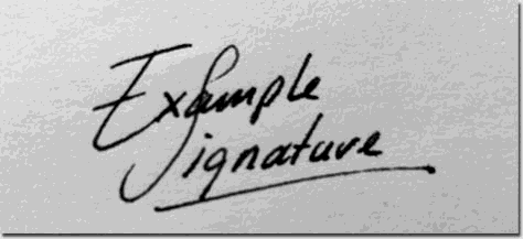 Example Signature